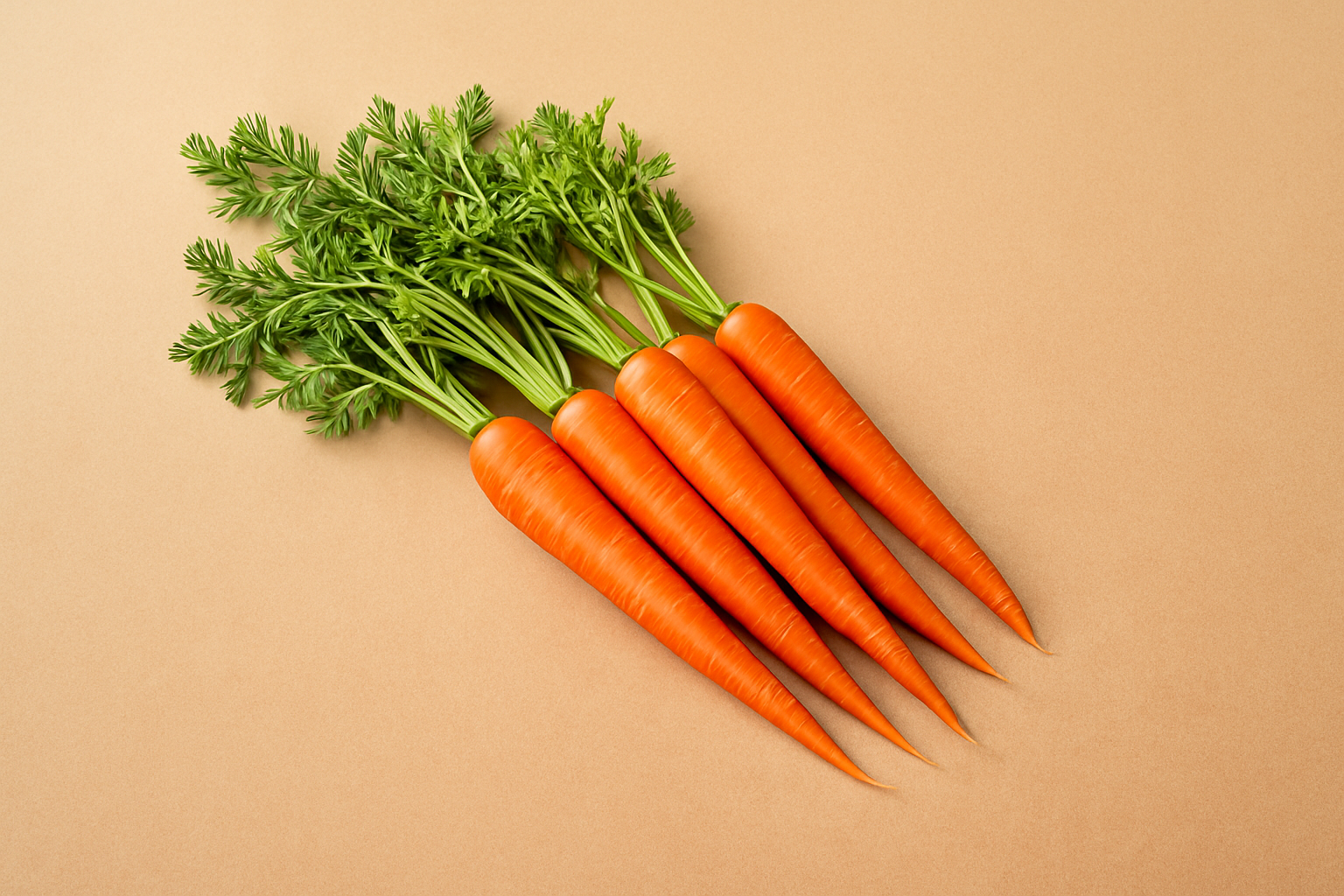 Fresh Carrots